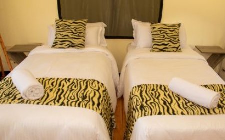 Guest Reviews at Ayza Elementaita Resort: Stories of Unforgettable Stays by Lake Elementaita