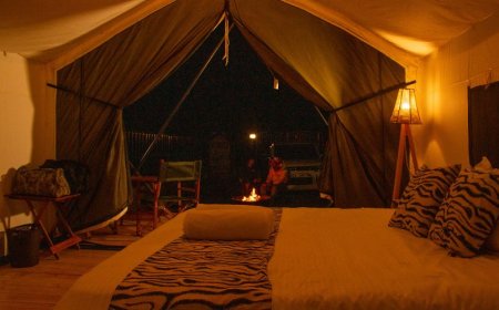 Ayza Elementaita Bonfire & Stargazing: A Magical Nighttime Experience for Campers