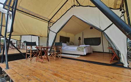 Best Hotels and Lodges in Elementaita: Where to Stay by the Lake