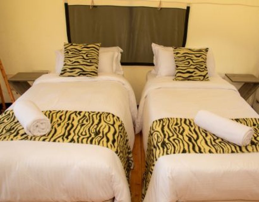 Guest Reviews at Ayza Elementaita Resort: Stories of Unforgettable Stays by Lake Elementaita