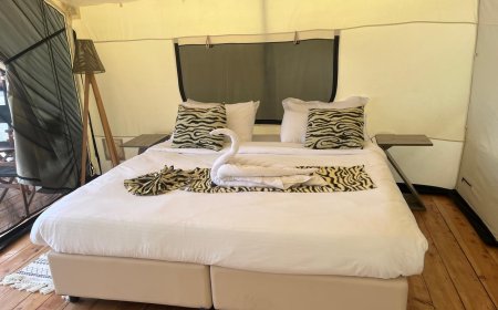 Romantic Escapes at Ayza Elementaita: The Ultimate Honeymoon and Couple’s Getaway