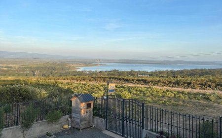 Why Lake Elementaita Is Kenya’s Most Underrated Family Getaway