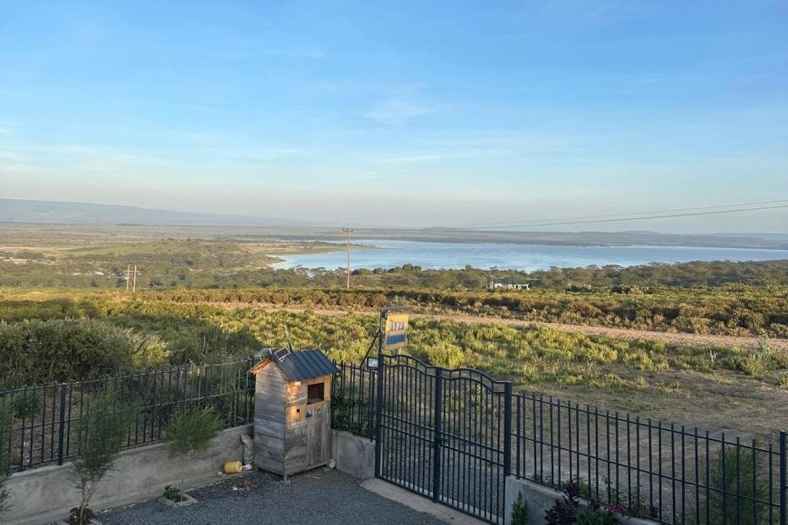 Why Lake Elementaita Is Kenya’s Most Underrated Family Getaway