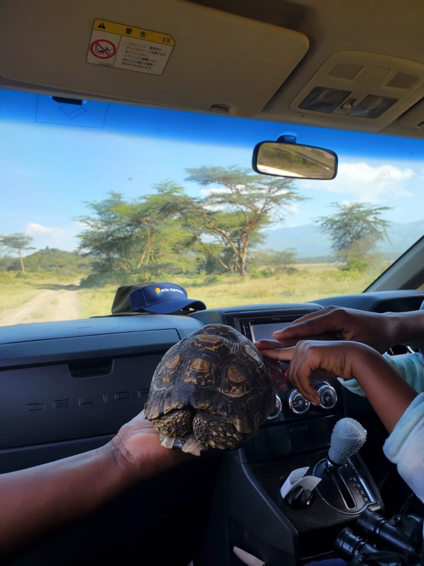 Why Nature-Based Resorts Are the Best Choice for Family Getaways and Why Families Love Ayza Elementaita