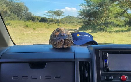 Soysambu Conservancy: A Living Classroom of Wildlife, History and Conservation in Kenya