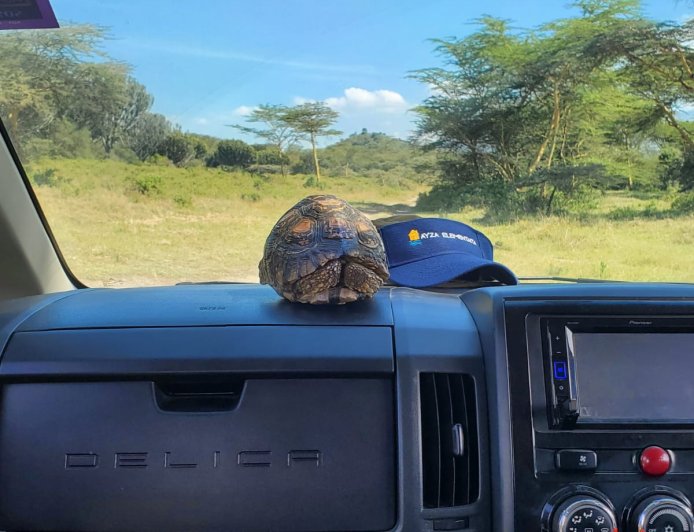 Soysambu Conservancy: A Living Classroom of Wildlife, History and Conservation in Kenya