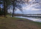 Lake Elementaita vs Lake Naivasha – Which is Better? (2026 Guide)