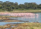 Things to Do in Lake Elementaita (Complete Guide)