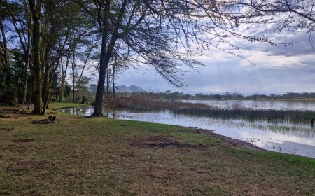 Lake Elementaita vs Lake Naivasha – Which is Better? (2026 Guide)