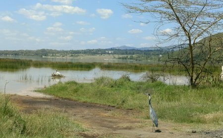 Affordable Getaways Near Nairobi (Under Ksh10,000)