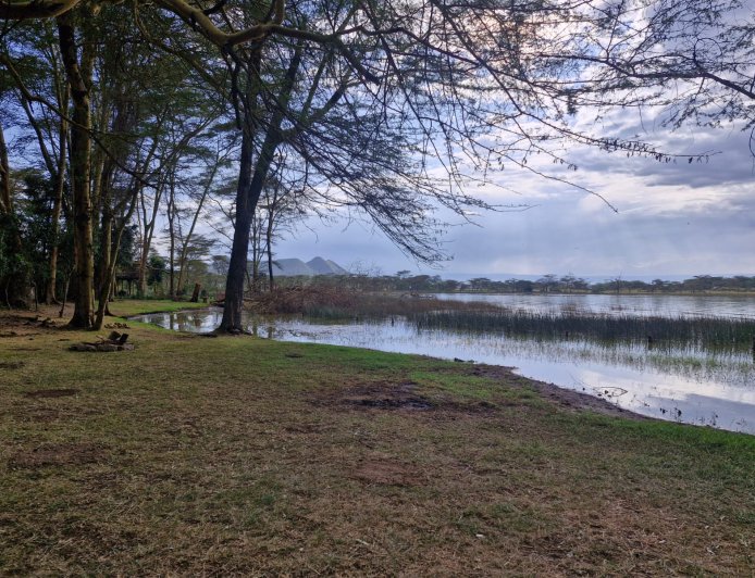 Lake Elementaita vs Lake Naivasha – Which is Better? (2026 Guide)