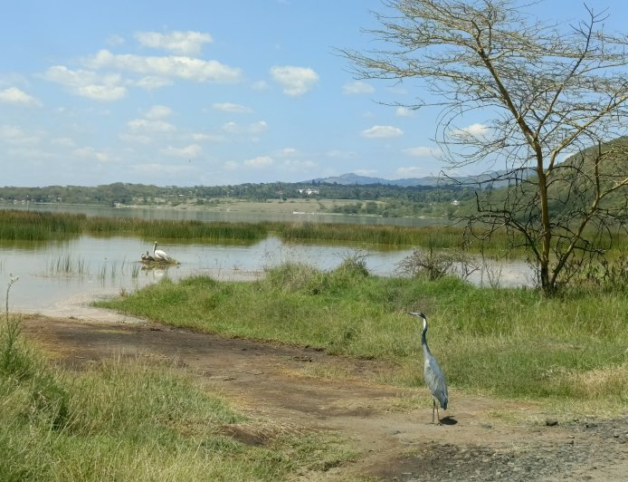 Affordable Getaways Near Nairobi (Under Ksh10,000)