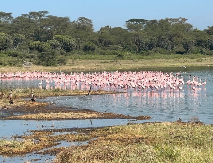 Things to Do in Lake Elementaita (Complete Guide)