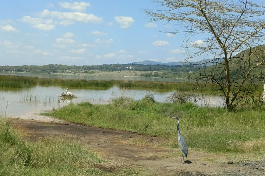 Affordable Getaways Near Nairobi (Under Ksh10,000)