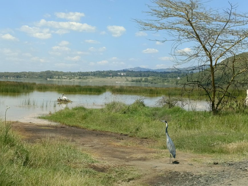 Affordable Getaways Near Nairobi (Under Ksh10,000)