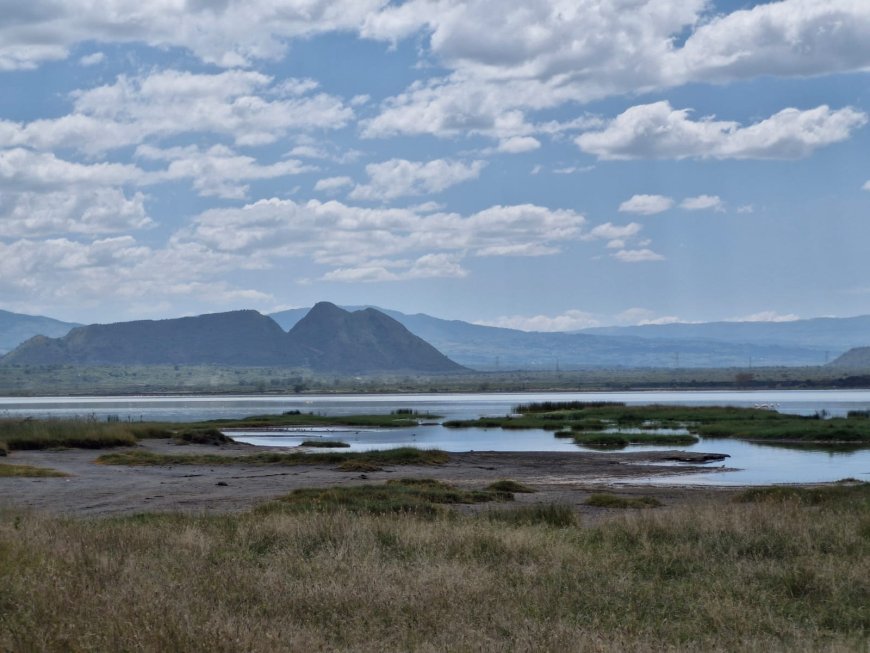 Lake Elementaita vs Lake Naivasha – Which is Better? (2026 Guide)