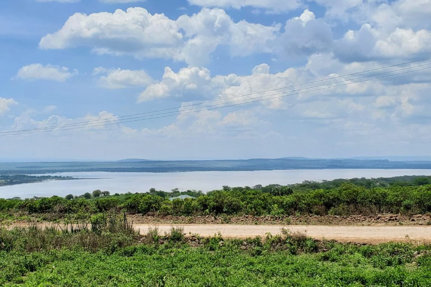 2 Nights and 3 Days at Ayza Resort Elementaita: The Ultimate Lakeside Getaway in Kenya