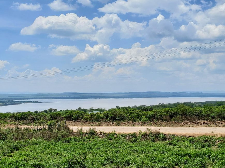 Best Resorts in Lake Elementaita, Kenya (2027 Guide): Hotels, Camps, Glamping and Nature Escapes