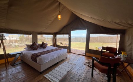 Affordable Romantic Getaways Near Nairobi: Discover the Magic of Lake Elementaita